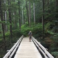 Upper Sol Duc Bridge ico