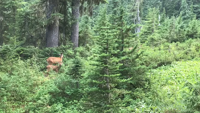 C. B. Flats Group Camp Picture 1