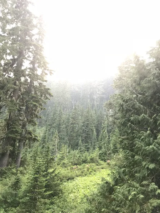 C. B. Flats Group Camp Picture 2