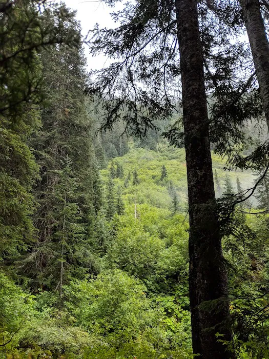 7 Mile Group Camp Picture 1