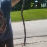 Suburban Village Mobile Home Park