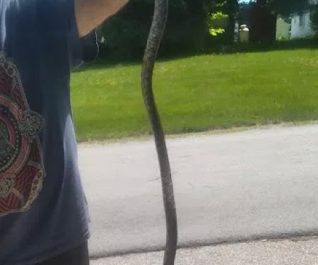 Suburban Village Mobile Home Park