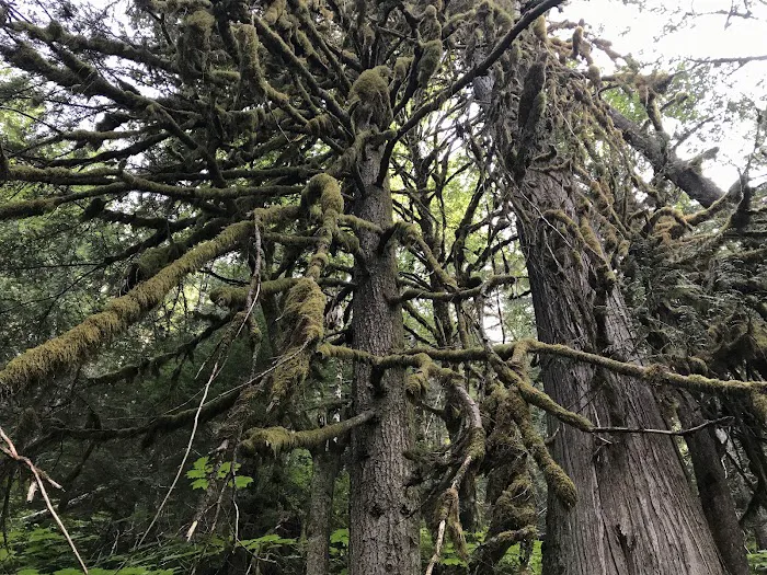 Appleton Pass Picture 2