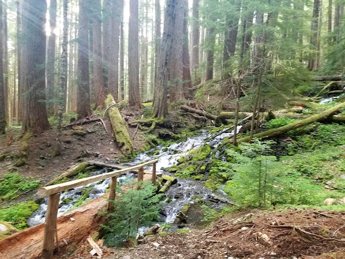 Horsehead Stock Camp Picture 1