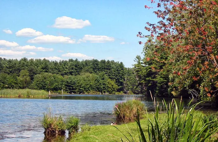 River Pines Picture 2