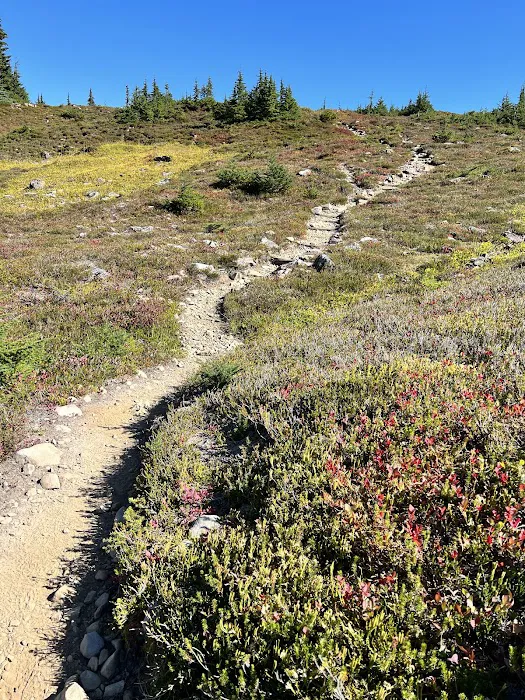 Lunch Lake Picture 2