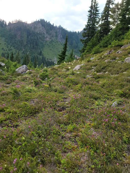 Lunch Lake Picture 4