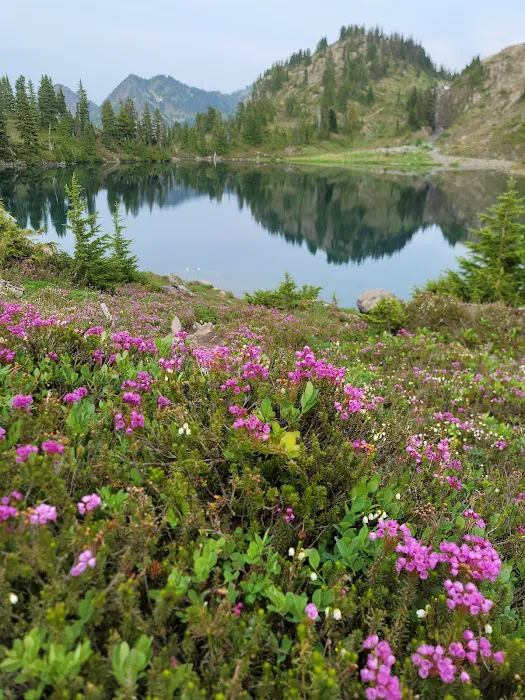 Lunch Lake Picture 3