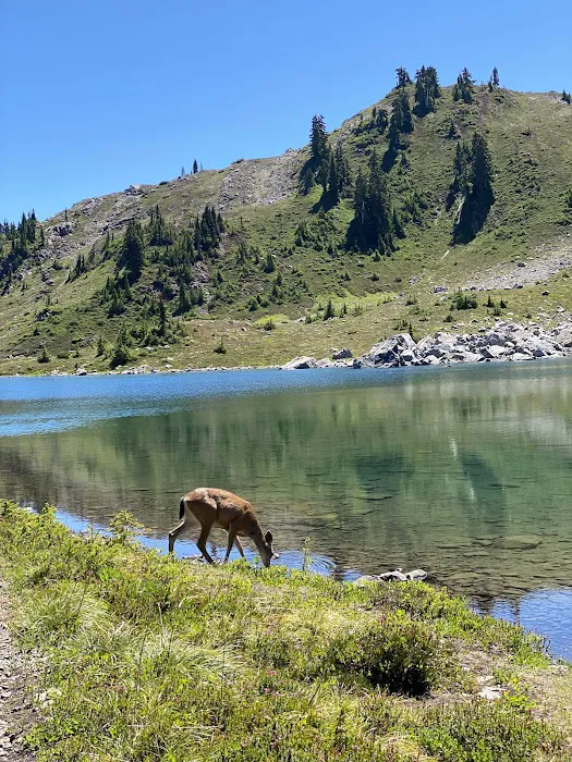 Lunch Lake Picture 9