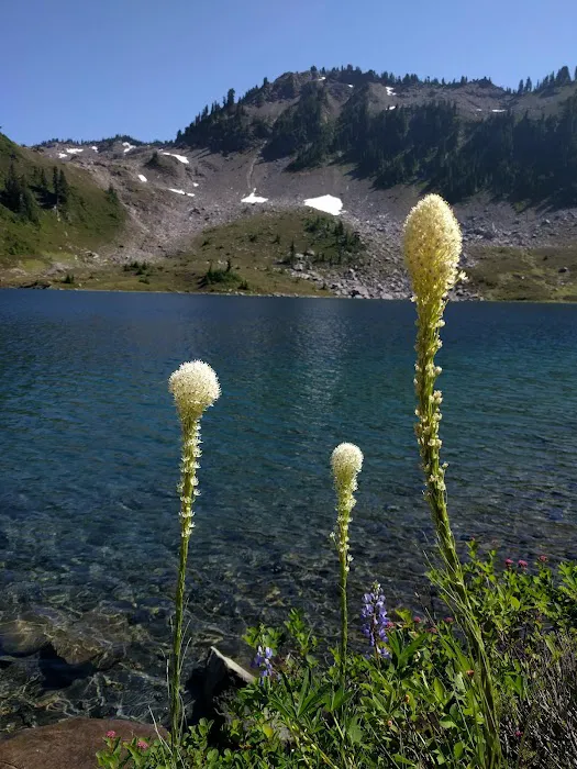 Lunch Lake Picture 10