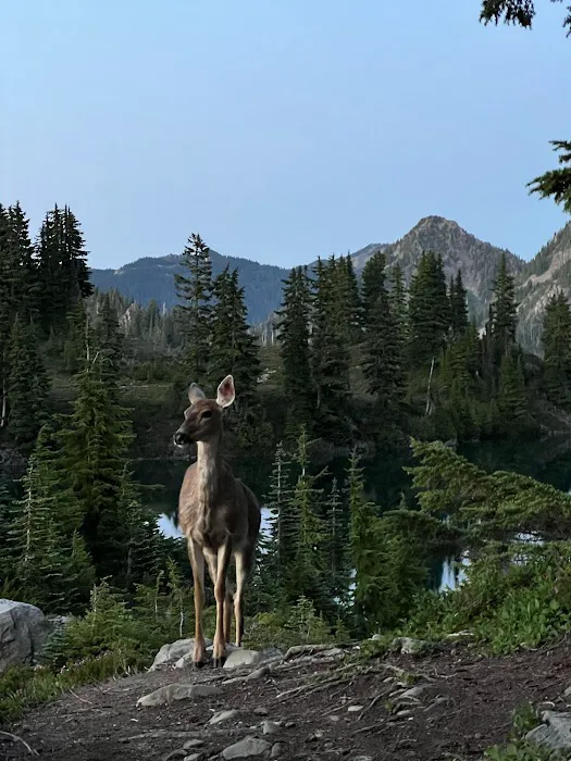 Lunch Lake Picture 6