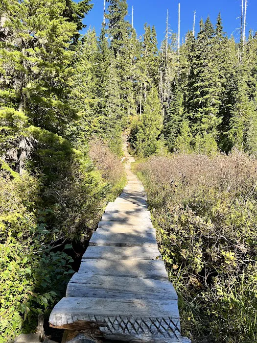 Deer Lake Picture 10