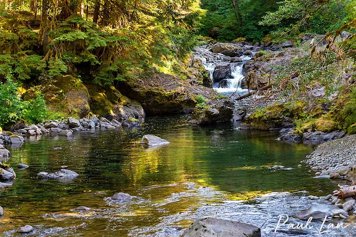 Sol Duc River Picture 1