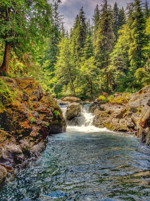 Sol Duc River Picture 2