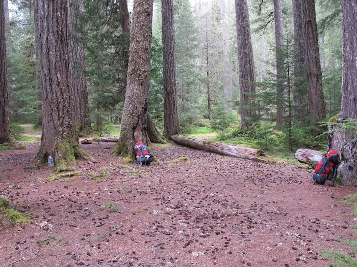 Boulder Creek Campground Picture 2