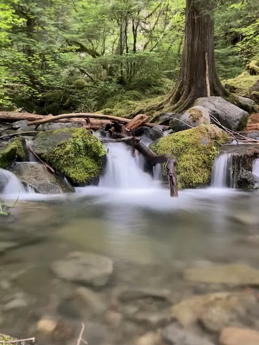 Boulder Creek Campground Picture 5