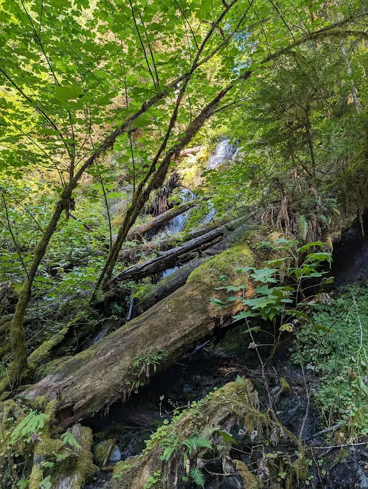 High Hopes Farm Picture 1