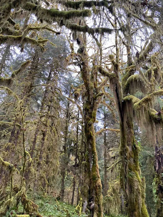 High Hopes Farm Picture 4