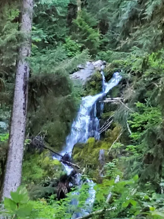 High Hopes Farm Picture 8