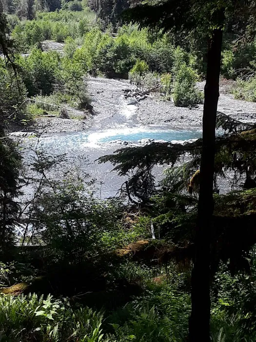 High Hopes Farm Picture 7