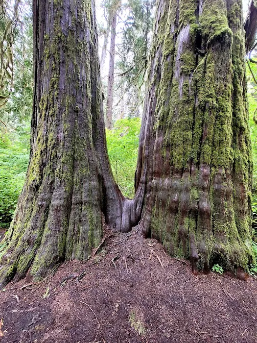 High Hopes Farm Picture 5