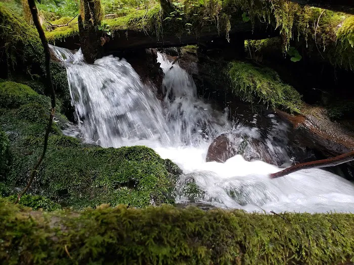 High Hopes Farm Picture 6