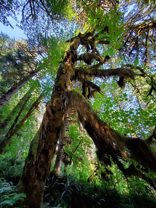 High Hopes Farm Picture 9