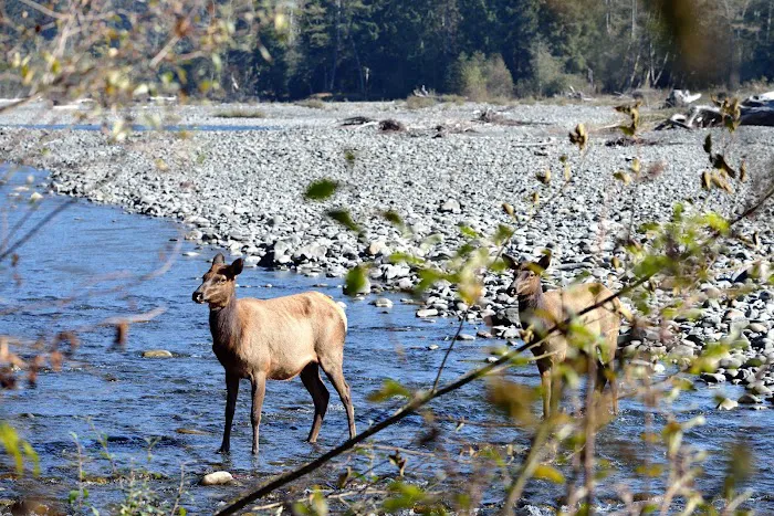 High Hopes Farm Picture 10