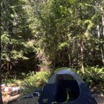 Wandering Joy Campground