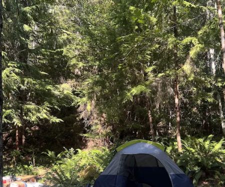 Wandering Joy Campground