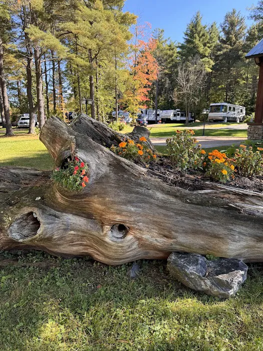 Pine Park RV Campground and Pavilion Picture 1