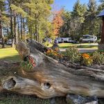 Pine Park RV Campground and Pavilion