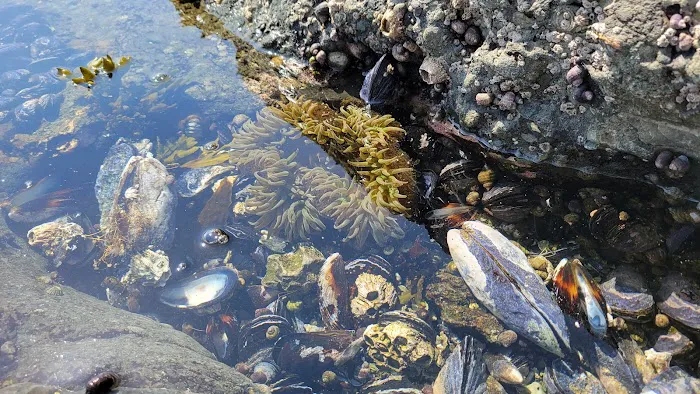 Salt Creek Campground Picture 4