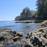 Salt Creek Campground