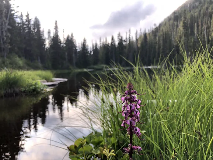 Happy Lake Picture 5