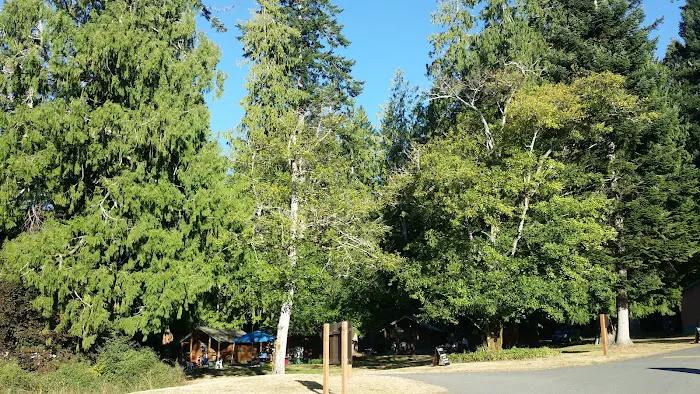 Log Cabin Resort-Campground Picture 4