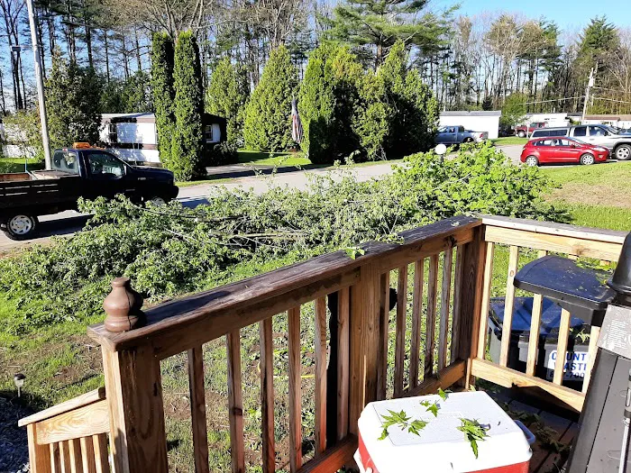 Pyramid Pines Mobile Home Park Picture 5