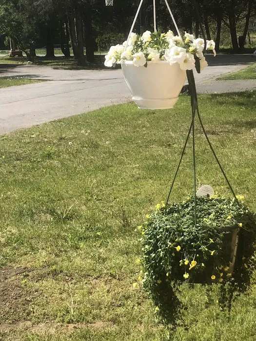 Park D' Antoine Manufactured Home Community Picture 4