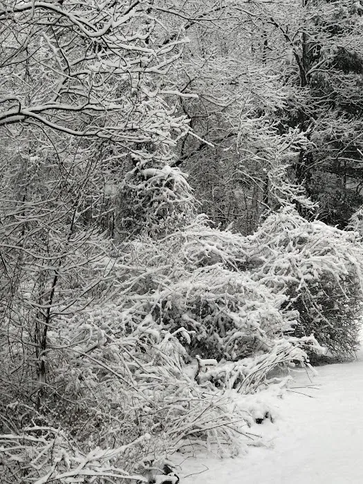 Park D' Antoine Manufactured Home Community Picture 1