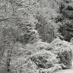 Park D' Antoine Manufactured Home Community