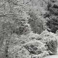 Park D' Antoine Manufactured Home Community ico