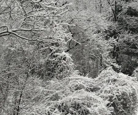 Park D' Antoine Manufactured Home Community