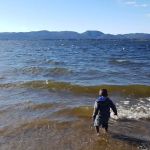 Silver Maple Trailer PARK