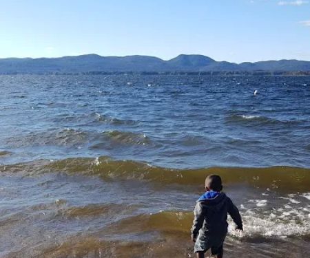 Silver Maple Trailer PARK