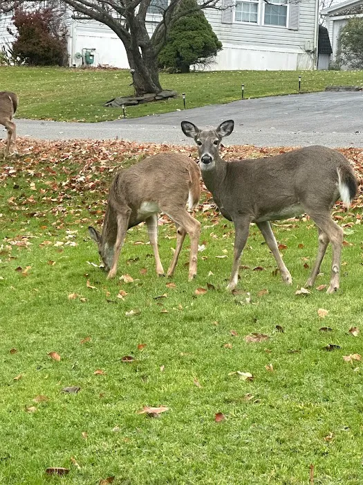 Echo Valley Estates Picture 5