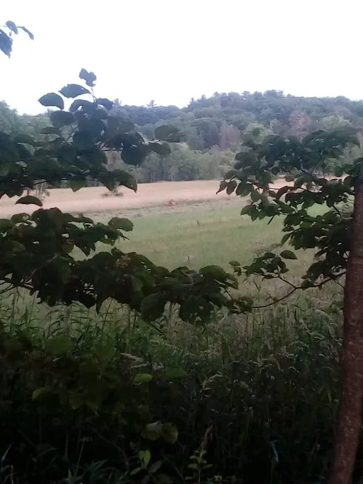 Valley View Mobile Home Park, Inc. Picture 2