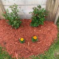 Valley View Mobile Home Park, Inc. ico