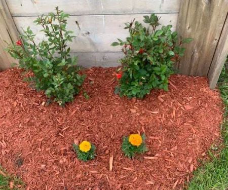 Valley View Mobile Home Park, Inc.