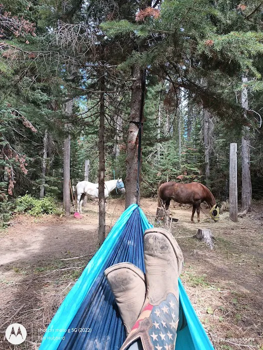 Keenes Horse Camp Picture 2