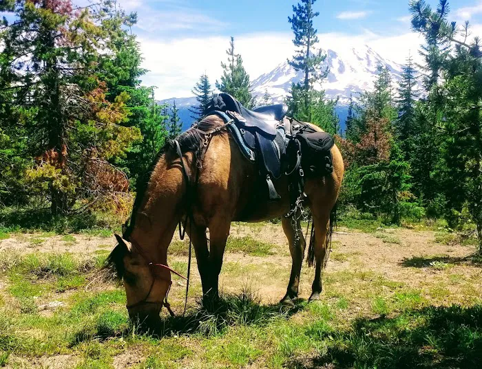 Keenes Horse Camp Picture 7